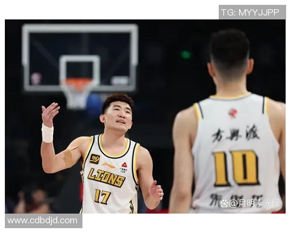 辽宁广厦总决赛精彩录像回顾与赛后分析全景展现篮球盛宴